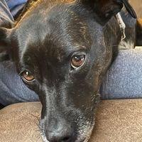 photo of Susan R. B.