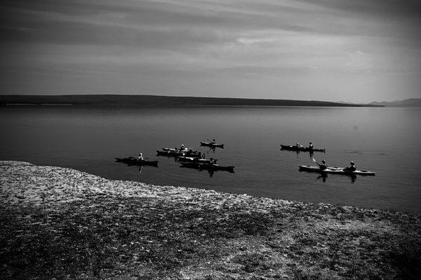 photo of Masoni14 Q.