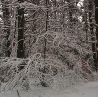 photo of Elizabeth A.