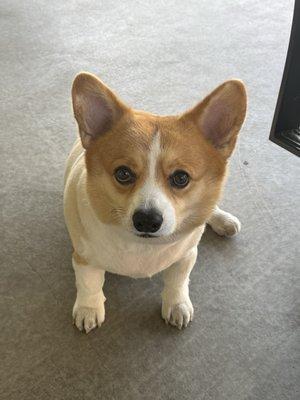 Photo of Thảo P.