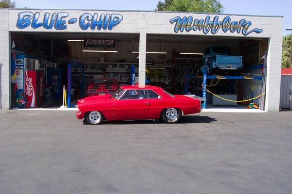 Photo of Blue-Chip M.