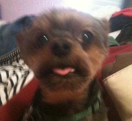 photo of Becky Shellenberger E.