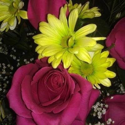 photo of Kimberly Y.