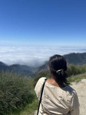 Photo of Kalpi K.