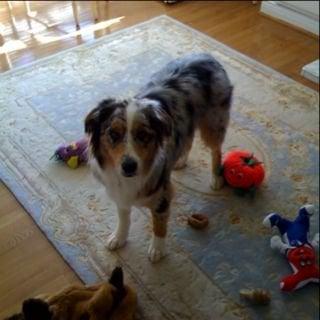 Photo of Lorie H.