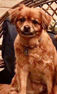 Photo of Coco C.