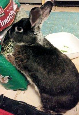 photo of Penelope's M.