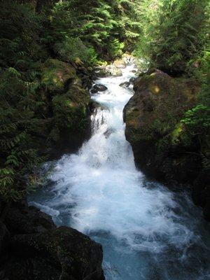 Photo of Christina L.