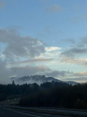 photo of Caroline H.