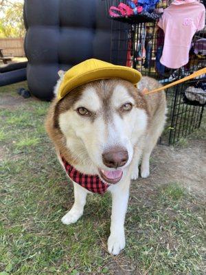 photo of Samantha M.