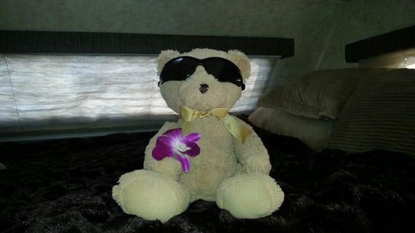 Photo of Bentley B.