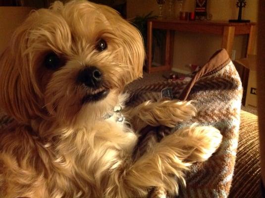 Photo of Sweet M.
