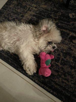 photo of Sebastian R.