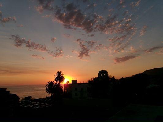 photo of Clarissa V.