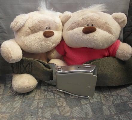 photo of 2bearbear S.