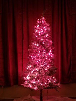 Photo of Samantha J.