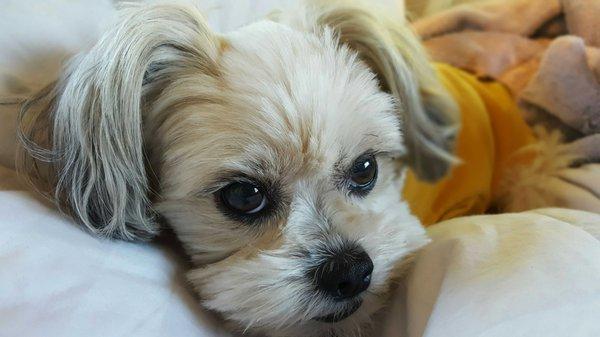 photo of Lorraine S.