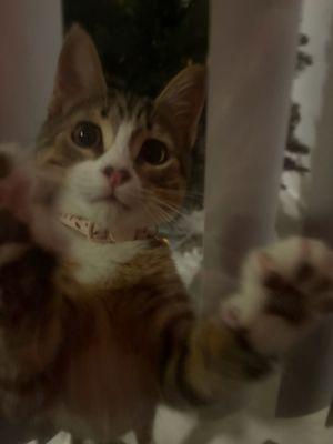 photo of Hayleigh M.