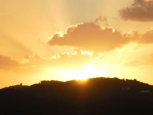 photo of precious p.