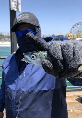 photo of Christian A.