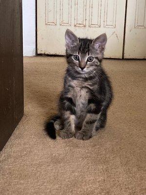 photo of Meredith B.