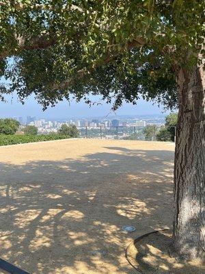 photo of Alejandro M.