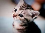 photo of Catherine S.