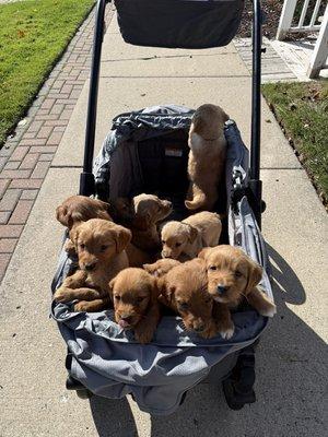 photo of Gods Country Wood Works J.