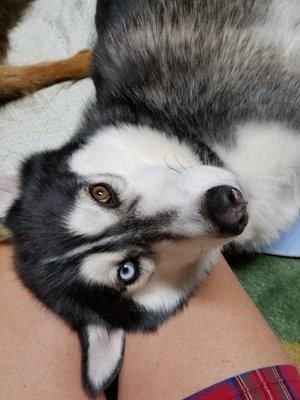 Photo of Kiva H.