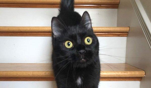 photo of Jennifer G.