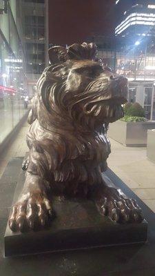 photo of Vladimir K.