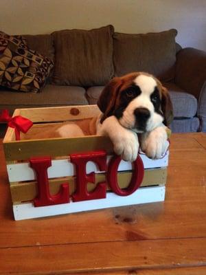 photo of Samantha G.