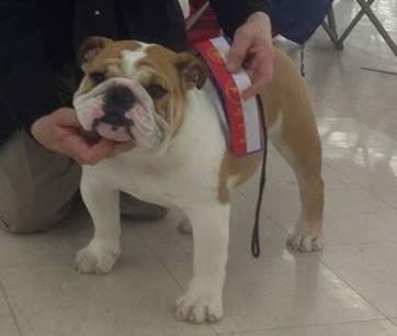 photo of Robbie N S.