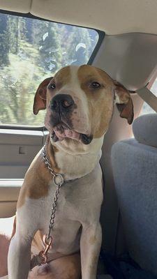 Photo of Adrian barrios1313