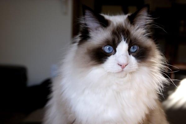 Photo of Brittany W.