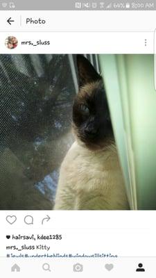 photo of Julianne H.