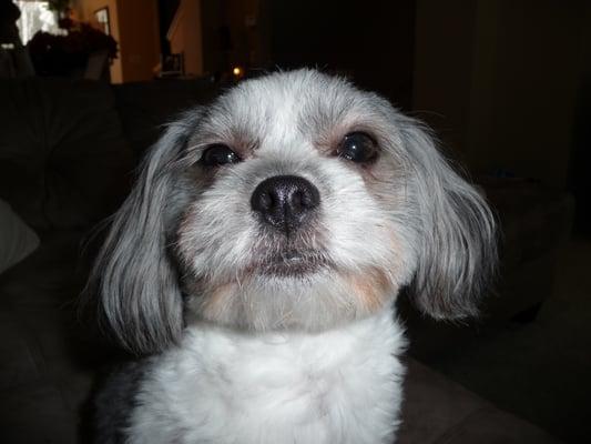 Photo of Tiff W.
