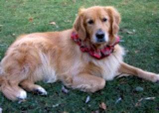 photo of Kathleen L.