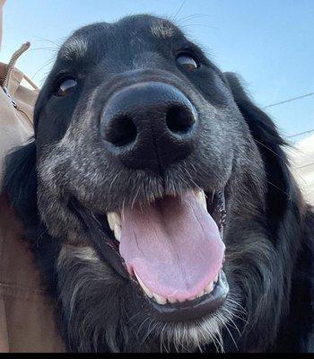 photo of Braqsten F.