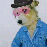 photo of Tokarlitz R.