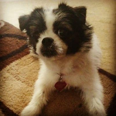 photo of Chantell G.