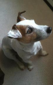 photo of Benjamin H.