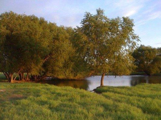 photo of Brecillica L.