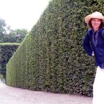 Photo of Nancy D.