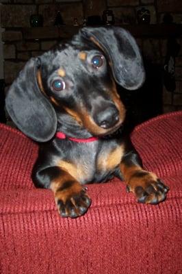 photo of Campbell S.