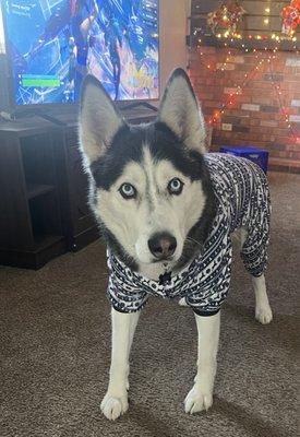 Photo of Brittany A.