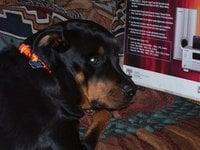 photo of Patricia A.