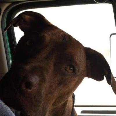 Photo of Michelle W.