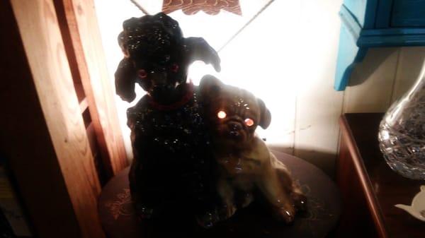 Photo of Jennifer K.