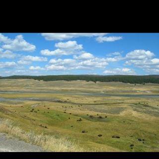 photo of Christie K.